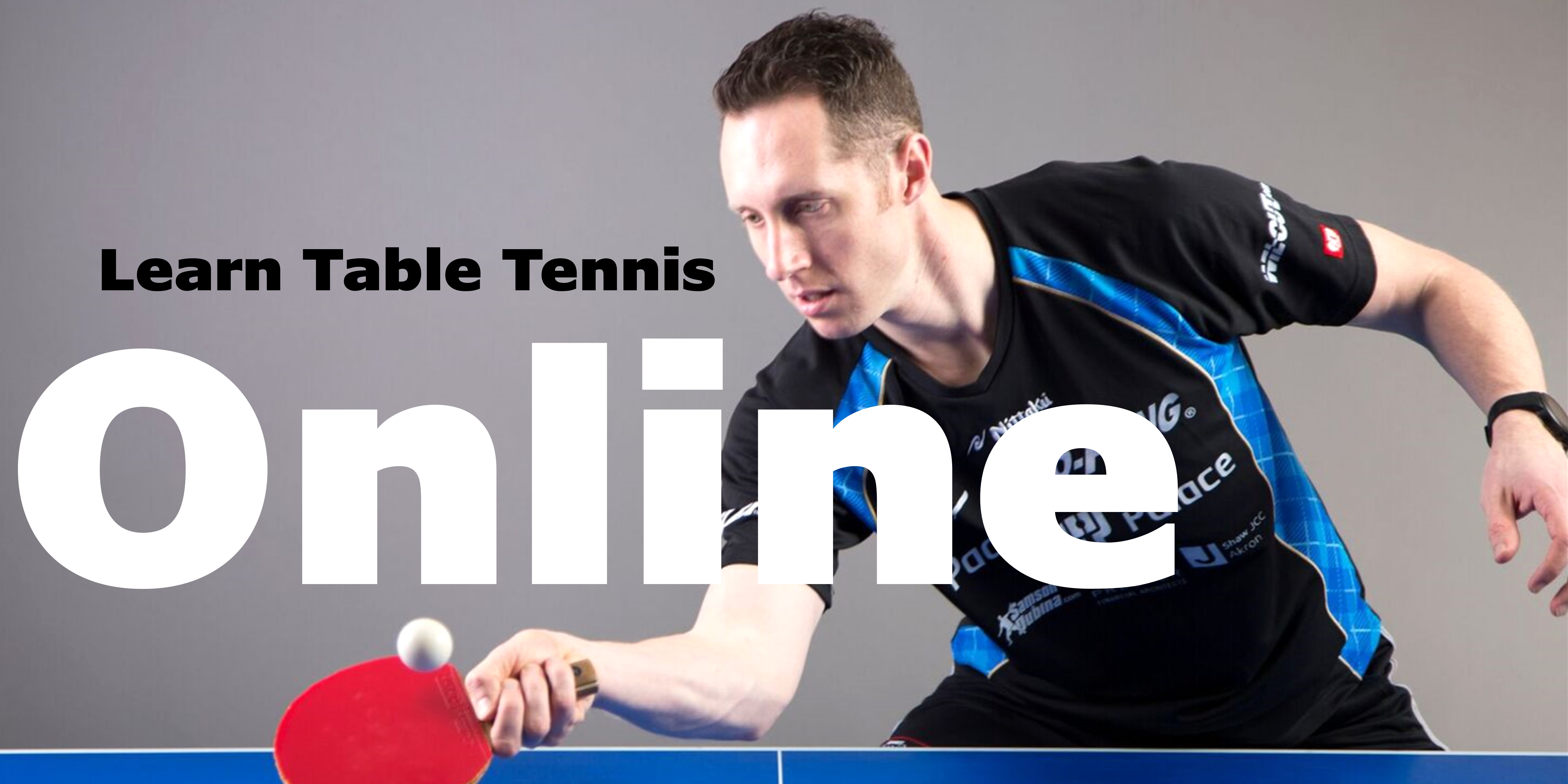 TABLE TENNIS TOURNAMENT free online game on